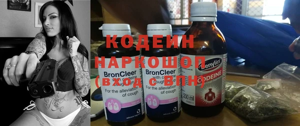 стафф Няндома