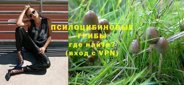 прущие крисы Нязепетровск