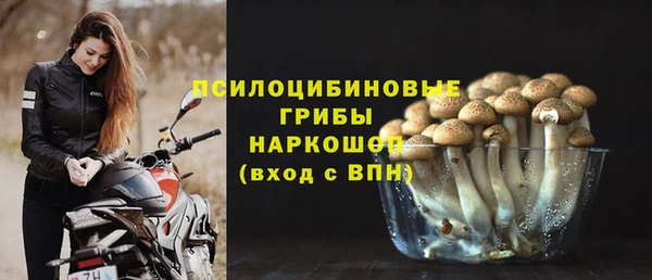 a pvp Новозыбков
