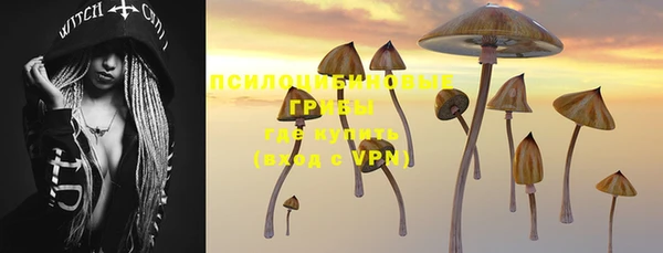 прущие крисы Нязепетровск