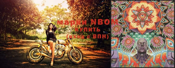 стафф Няндома