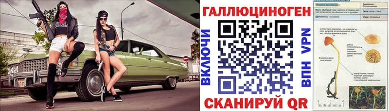 Псилоцибиновые грибы Cubensis где продают наркотики Щёкино