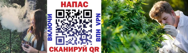 kraken ONION  Щёкино  Каннабис семена  дарнет шоп 